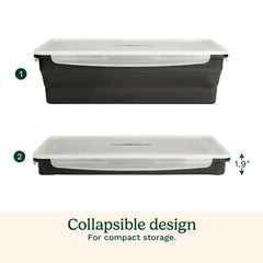 XL Collapsible Marinade Container